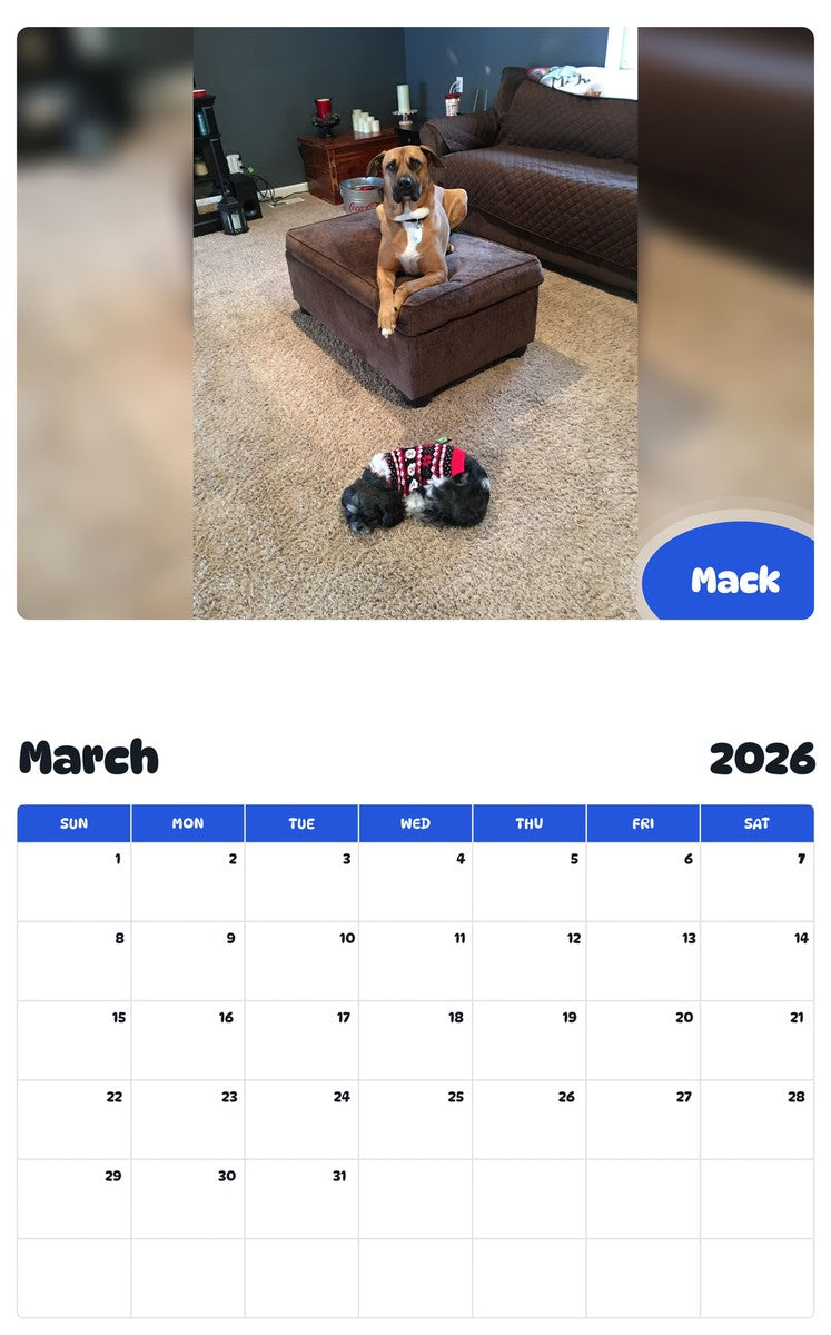 November 2025 - October 2026 Mack - Pawidols Pet Calendar
