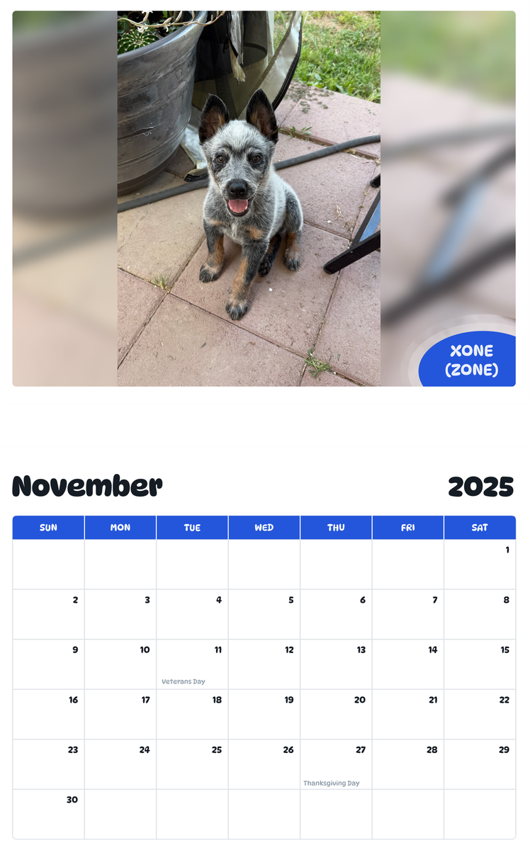 July 2025 - June 2026 Xone (zone) - Pawidols Pet Calendar
