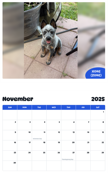July 2025 - June 2026 Xone (zone) - Pawidols Pet Calendar