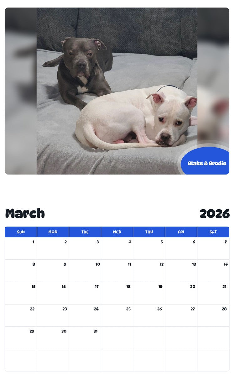 November 2025 - October 2026 Blake & Brodie - Pawidols Pet Calendar