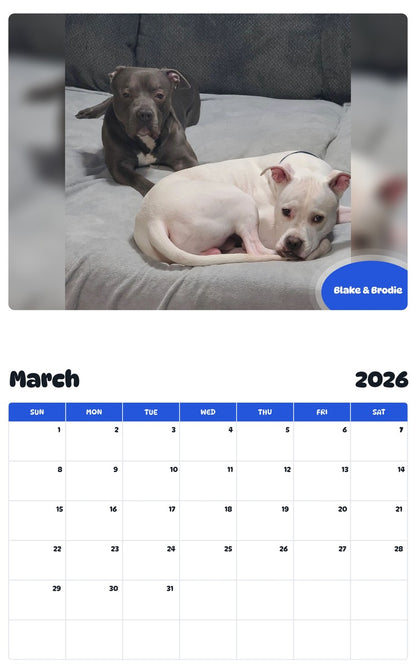 November 2025 - October 2026 Blake & Brodie - Pawidols Pet Calendar