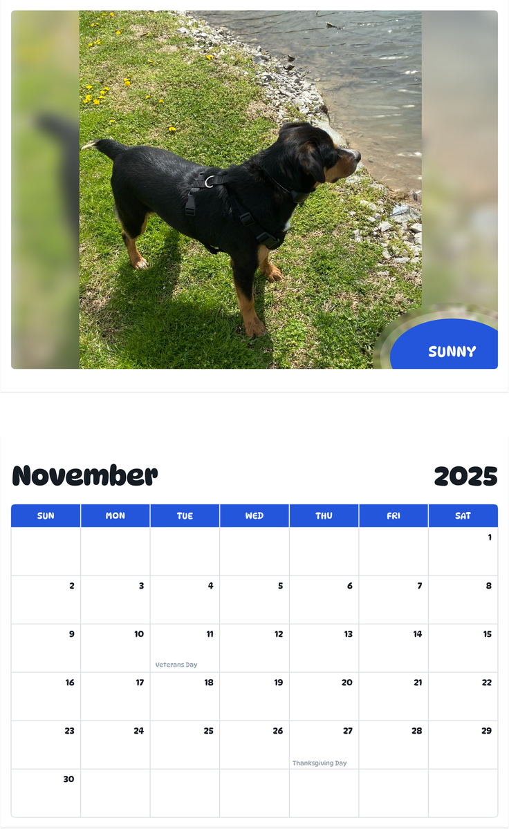 July 2025 - June 2026 Sunny - Pawidols Pet Calendar