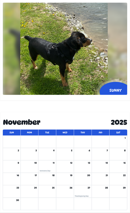 July 2025 - June 2026 Sunny - Pawidols Pet Calendar