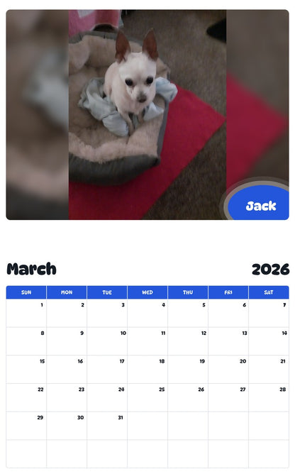November 2025 - October 2026 Jack - Pawidols Pet Calendar
