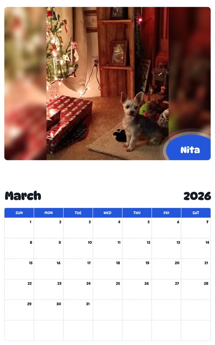 November 2025 - October 2026 Nita - Pawidols Pet Calendar