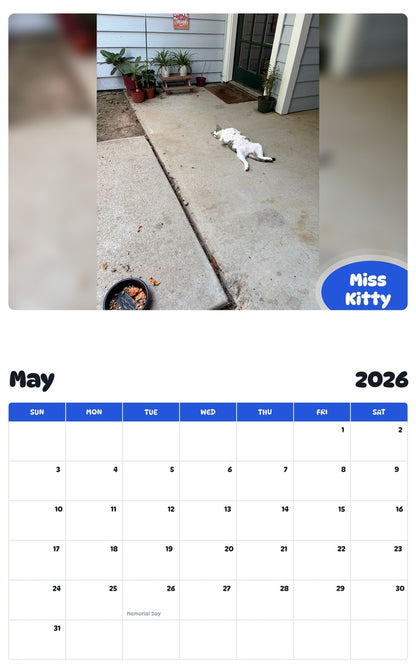 2026 - 2027 Miss Kitty - Pawidols Pet Calendar