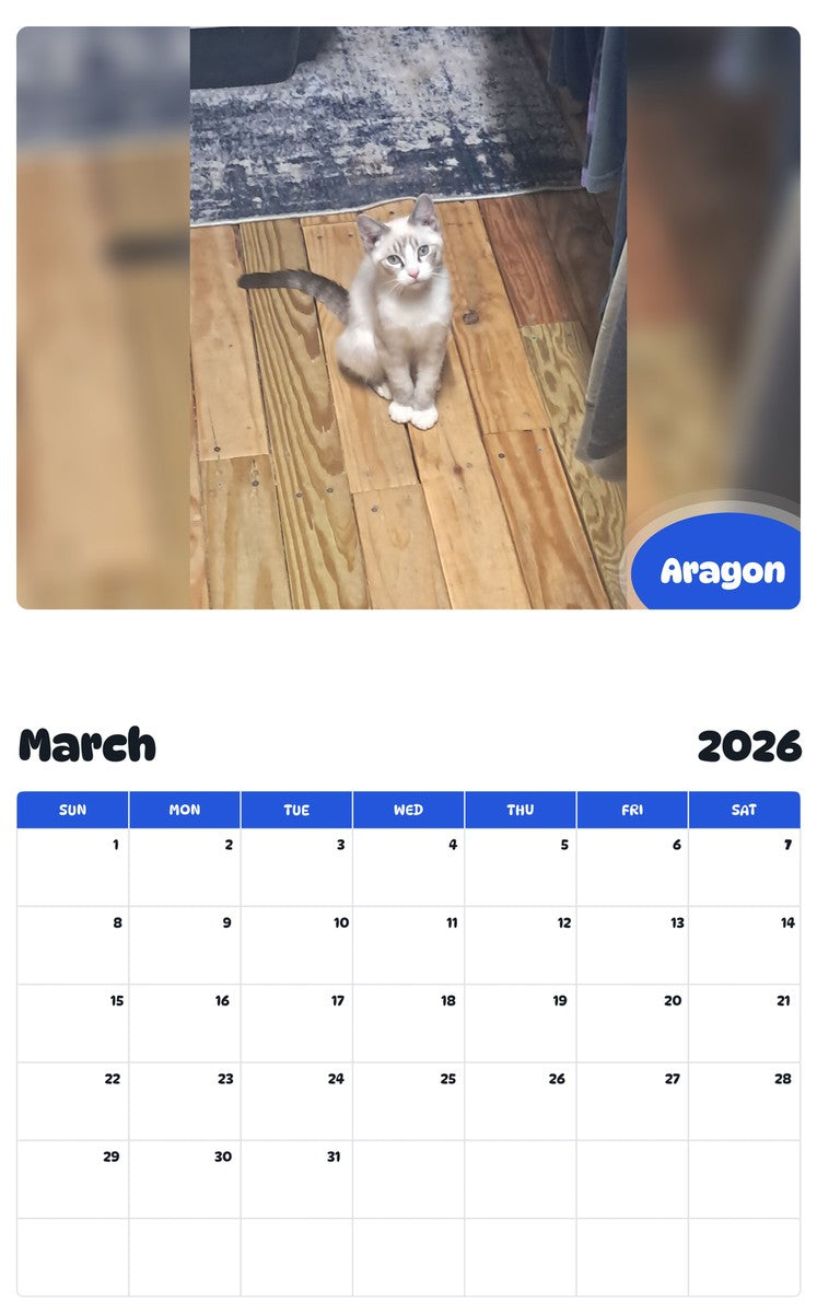 November 2025 - October 2026 Aragon - Pawidols Pet Calendar