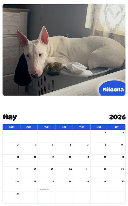 2026 - 2027 Mileena - Pawidols Pet Calendar