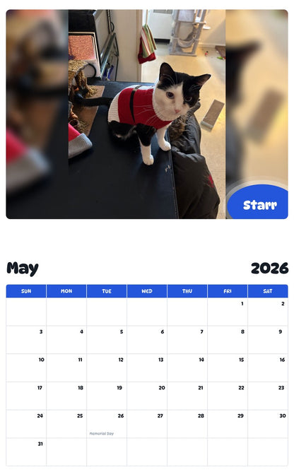 2026 - 2027 Starr - Pawidols Pet Calendar