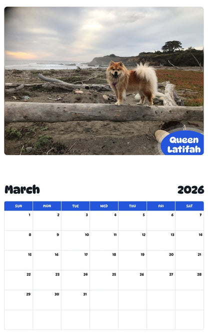 November 2025 - October 2026 Queen Latifah - Pawidols Pet Calendar
