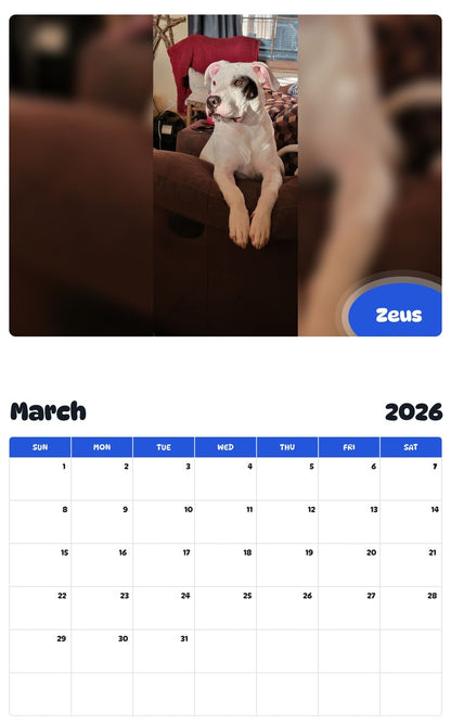 November 2025 - October 2026 Zeus - Pawidols Pet Calendar