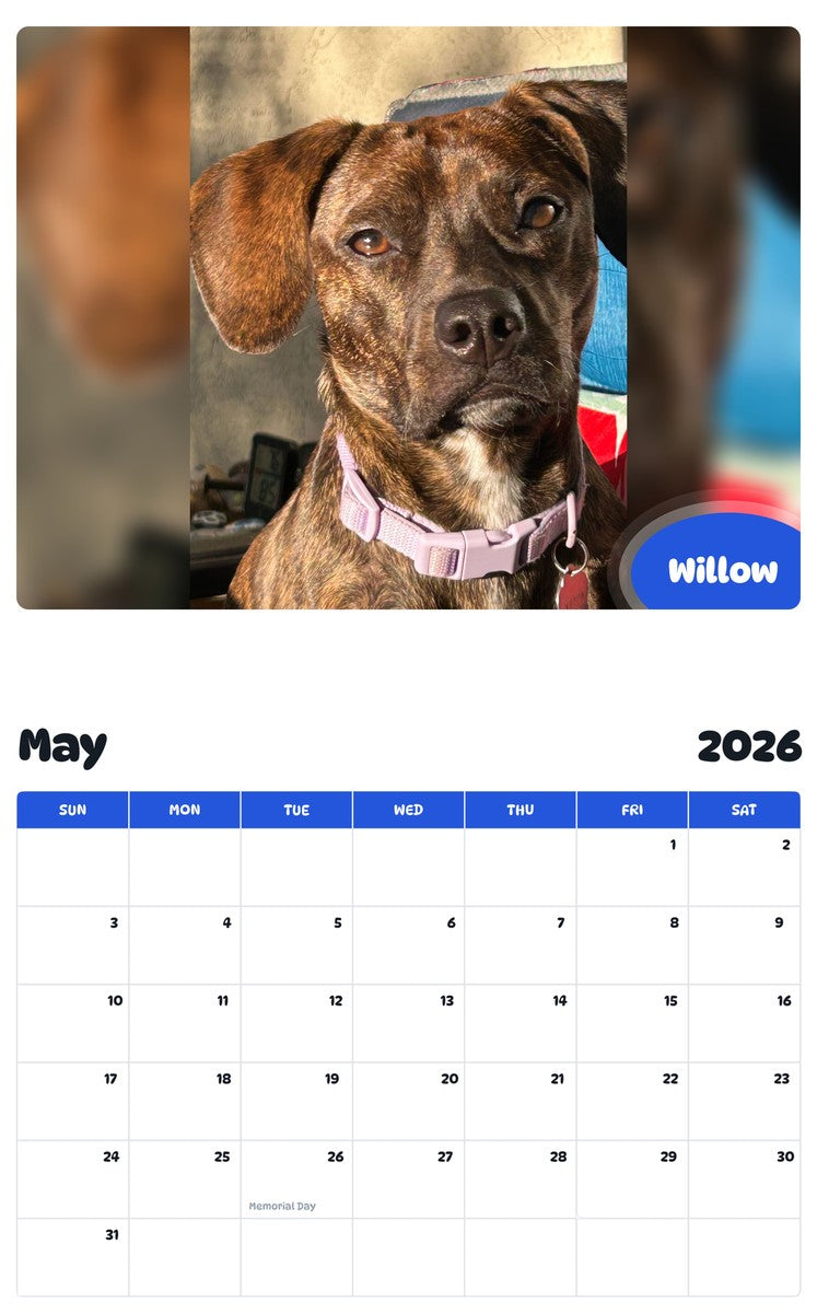 2026 - 2027 Willow - Pawidols Pet Calendar
