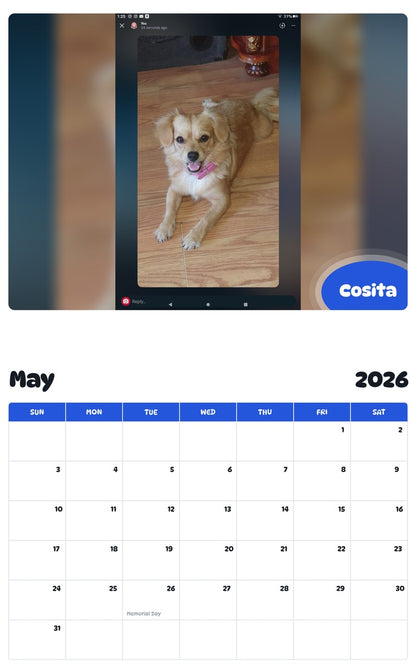 2026 - 2027 Cosita - Pawidols Pet Calendar