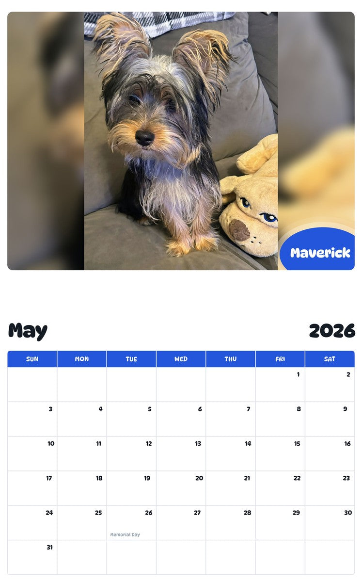 2026 - 2027 Maverick - Pawidols Pet Calendar