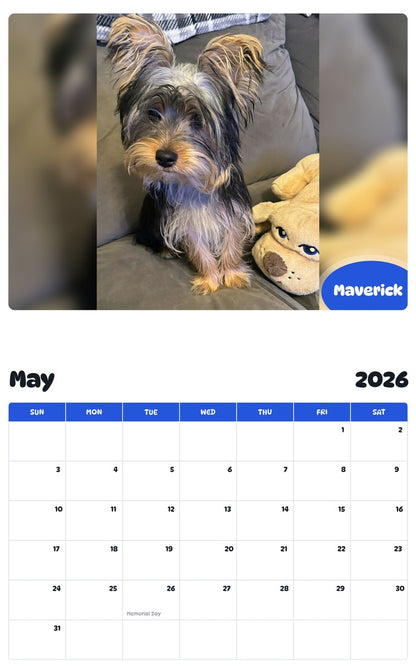 2026 - 2027 Maverick - Pawidols Pet Calendar