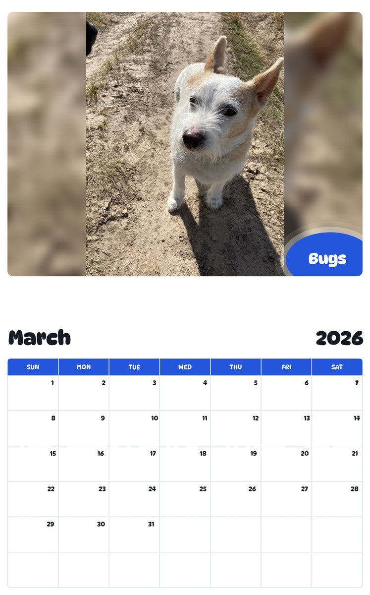 November 2025 - October 2026 Bugs - Pawidols Pet Calendar
