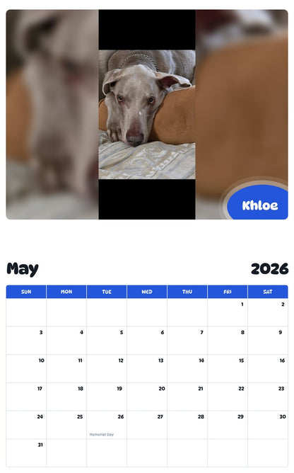 2026 - 2027 Khloe - Pawidols Pet Calendar
