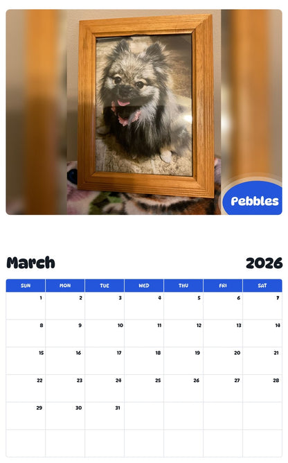 November 2025 - October 2026 Pebbles - Pawidols Pet Calendar