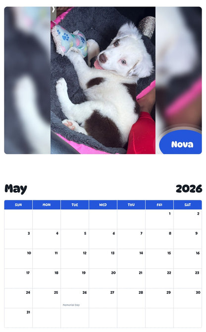 2026 - 2027 Nova - Pawidols Pet Calendar
