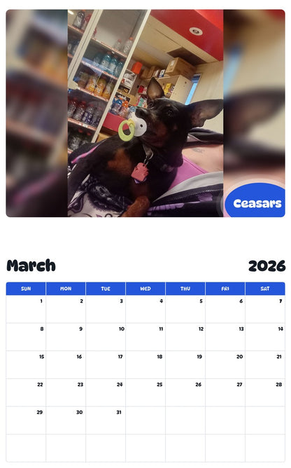 November 2025 - October 2026 Ceasars - Pawidols Pet Calendar