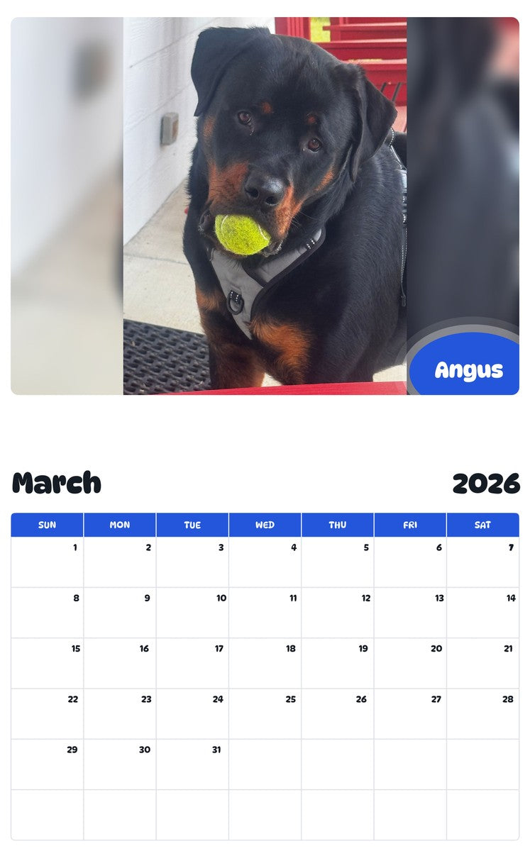 November 2025 - October 2026 Angus - Pawidols Pet Calendar