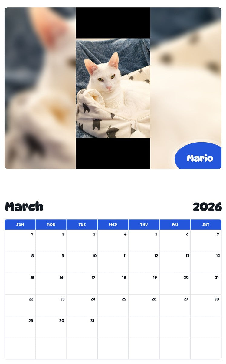 November 2025 - October 2026 Mario - Pawidols Pet Calendar