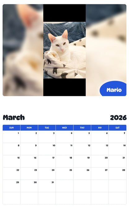 November 2025 - October 2026 Mario - Pawidols Pet Calendar