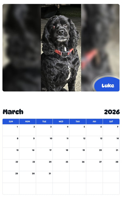 November 2025 - October 2026 Luke - Pawidols Pet Calendar