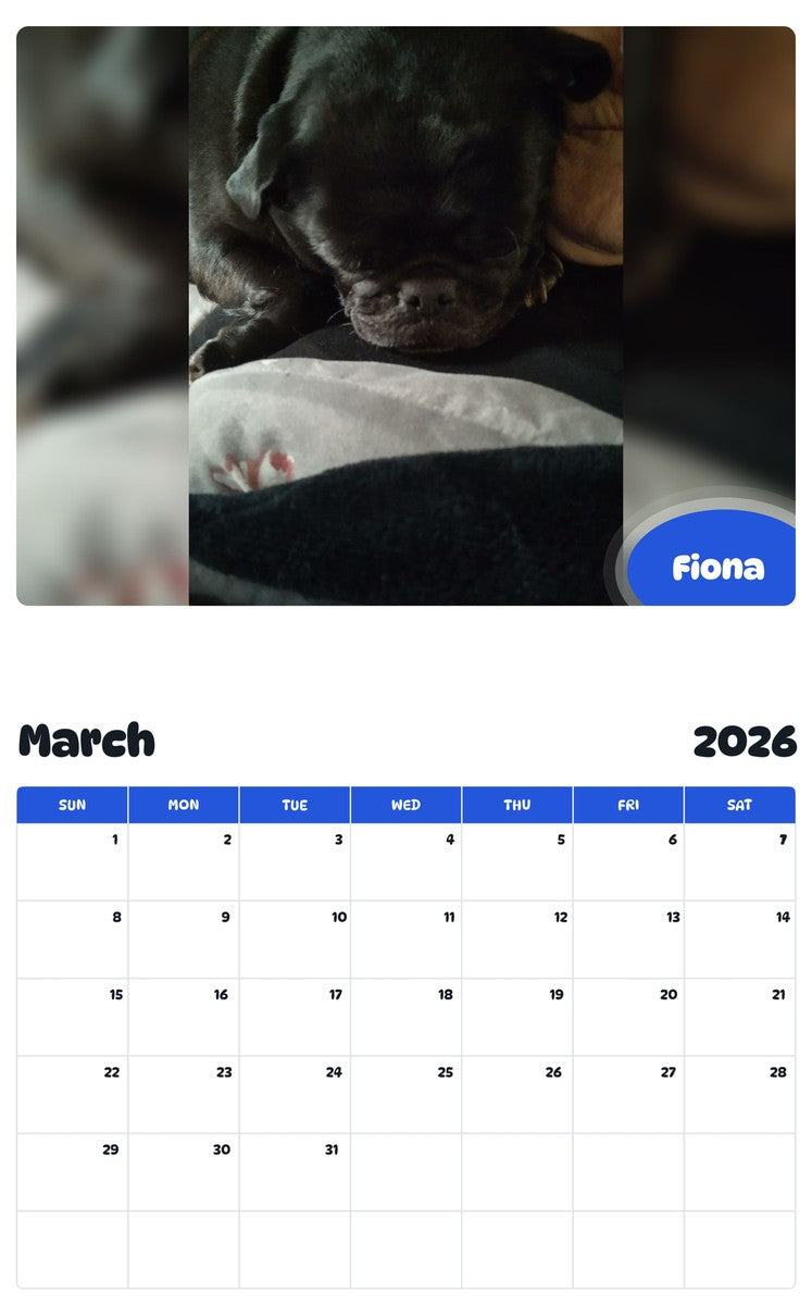 November 2025 - October 2026 Fiona - Pawidols Pet Calendar
