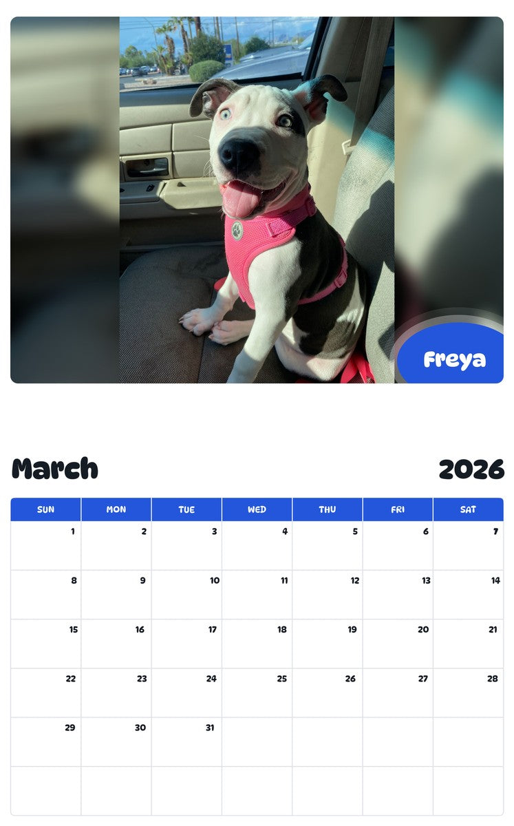 November 2025 - October 2026 Freya - Pawidols Pet Calendar