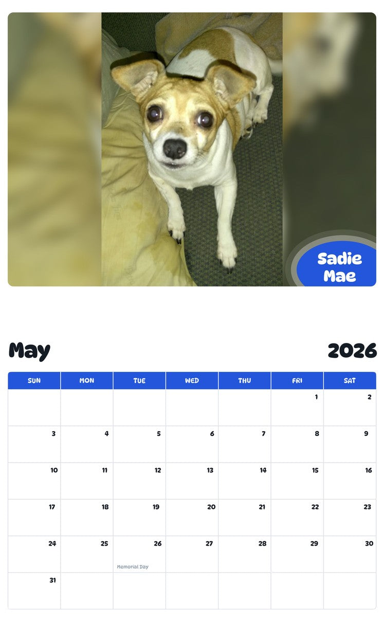 2026 - 2027 Sadie Mae - Pawidols Pet Calendar