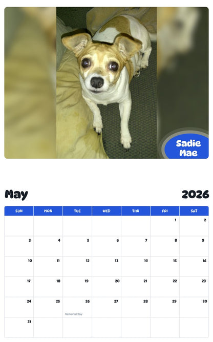 2026 - 2027 Sadie Mae - Pawidols Pet Calendar