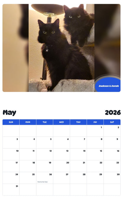 2026 - 2027 Jackson & Jonah - Pawidols Pet Calendar