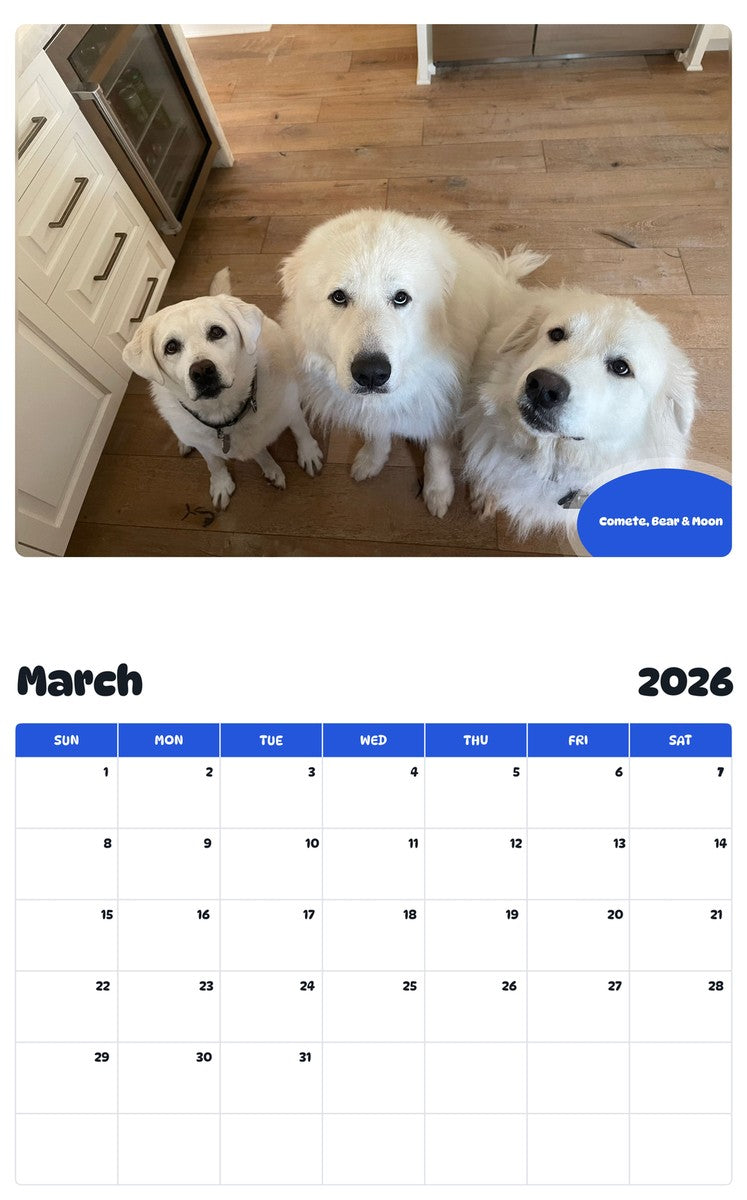 November 2025 - October 2026 Comete, Bear & Moon - Pawidols Pet Calendar