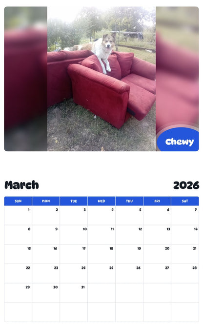 November 2025 - October 2026 Chewy - Pawidols Pet Calendar
