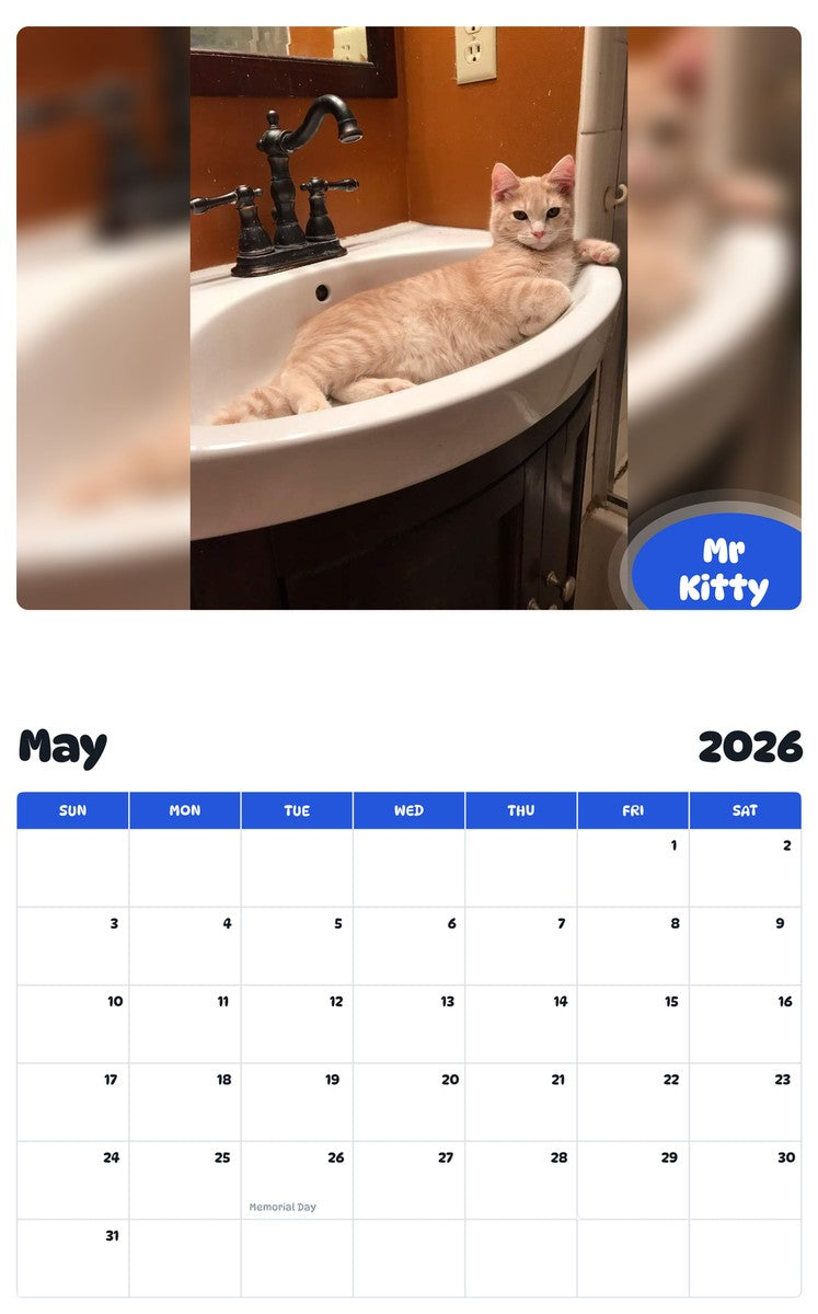 2026 - 2027 Mr Kitty - Pawidols Pet Calendar