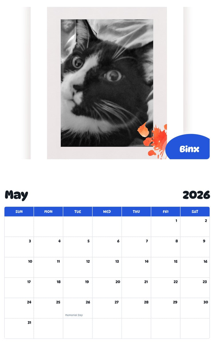 2026 - 2027 Binx - Pawidols Pet Calendar