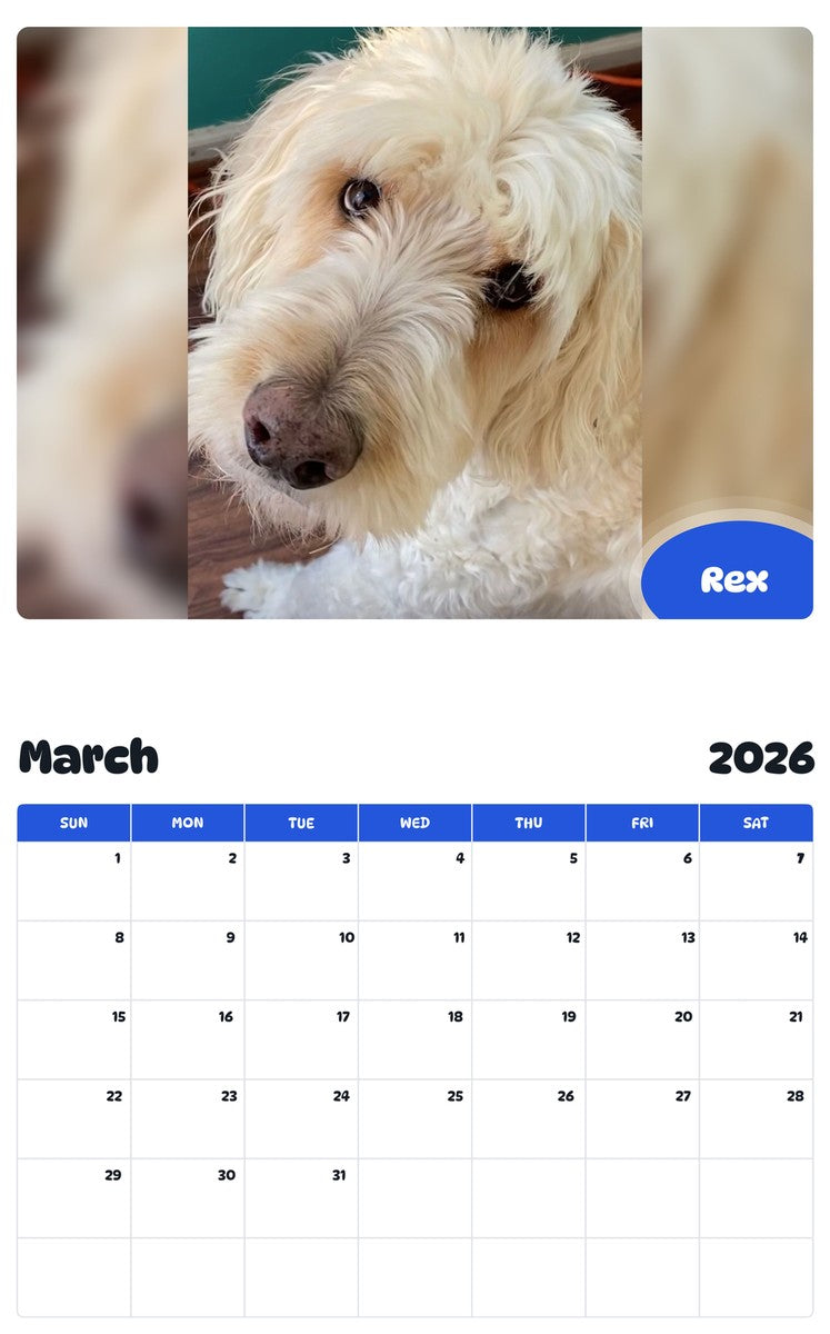 November 2025 - October 2026 Rex - Pawidols Pet Calendar