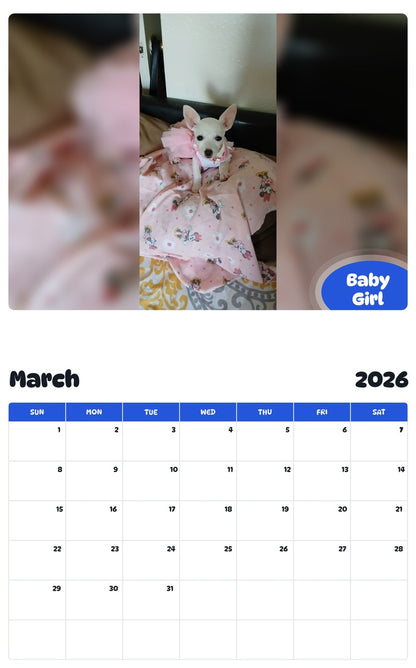 November 2025 - October 2026 Baby Girl - Pawidols Pet Calendar