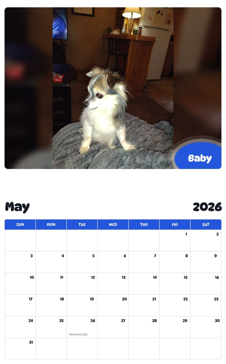 2026 - 2027 Baby - Pawidols Pet Calendar