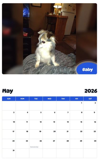 2026 - 2027 Baby - Pawidols Pet Calendar
