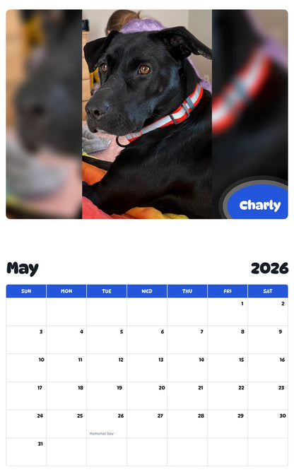 2026 - 2027 Charly - Pawidols Pet Calendar