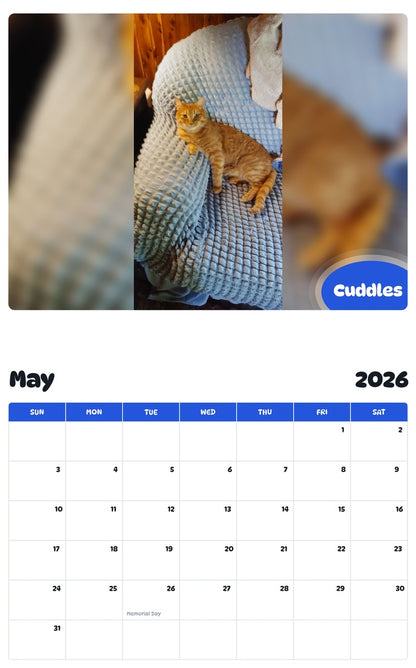 2026 - 2027 Cuddles - Pawidols Pet Calendar