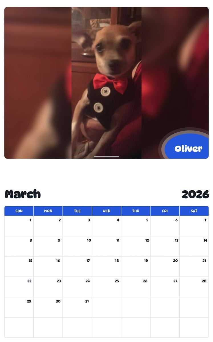 November 2025 - October 2026 Oliver - Pawidols Pet Calendar