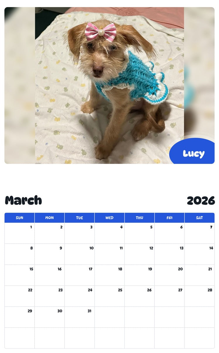 November 2025 - October 2026 Lucy - Pawidols Pet Calendar