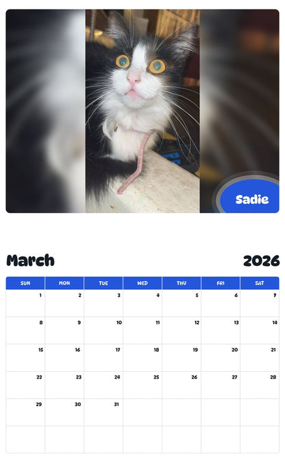 November 2025 - October 2026 Sadie - Pawidols Pet Calendar