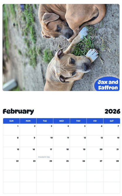 October 2025 - September 2026 Jax and Saffron - Pawidols Pet Calendar