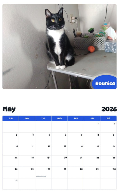 2026 - 2027 Bounice - Pawidols Pet Calendar