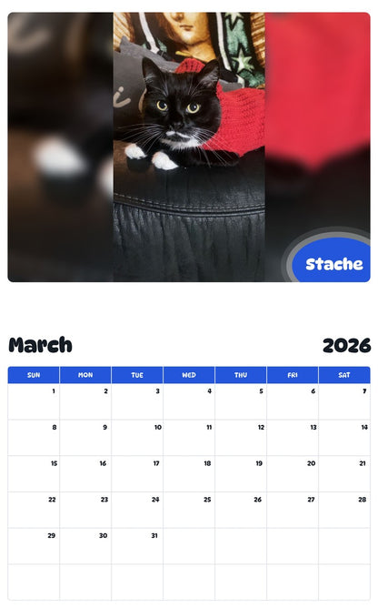 November 2025 - October 2026 Stache - Pawidols Pet Calendar
