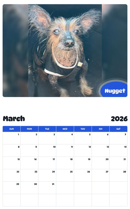 November 2025 - October 2026 Nugget - Pawidols Pet Calendar